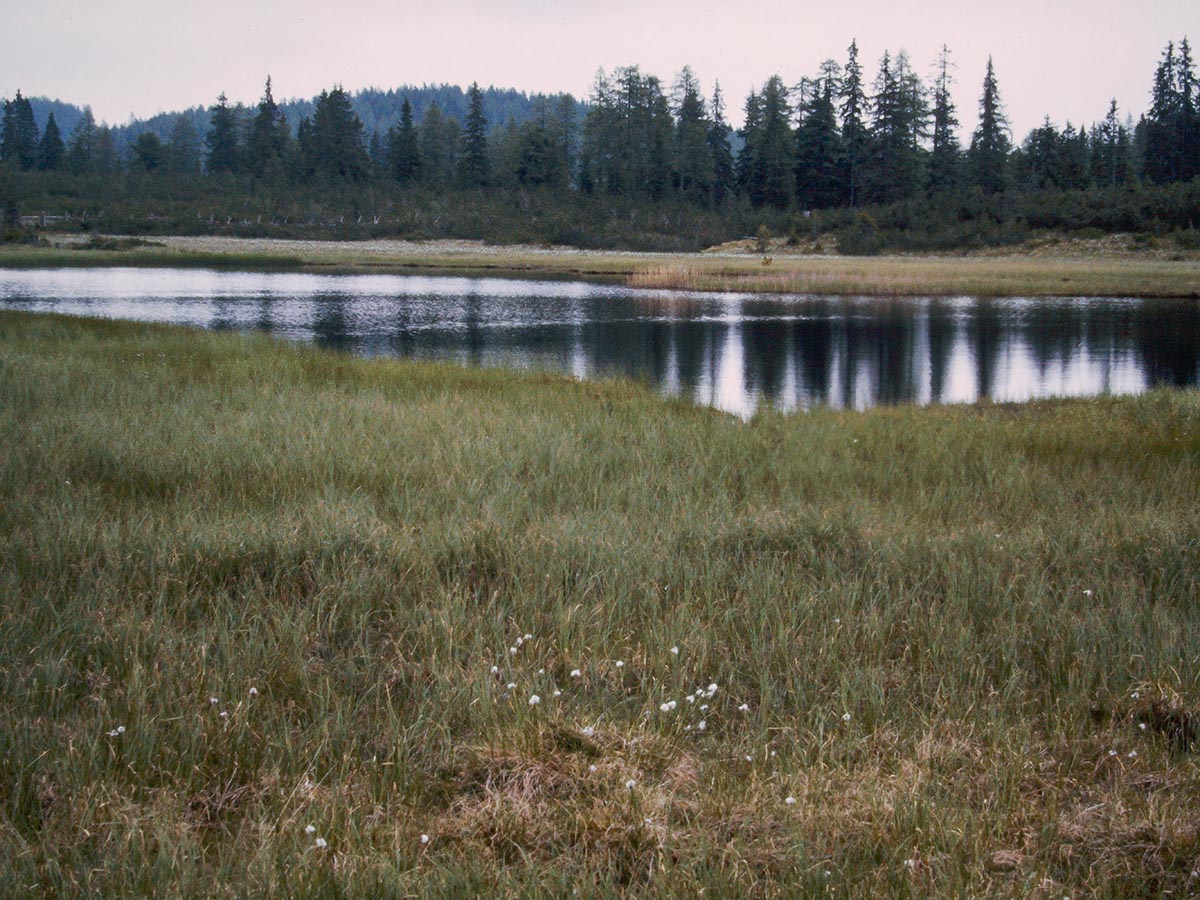 Dürrenecksee